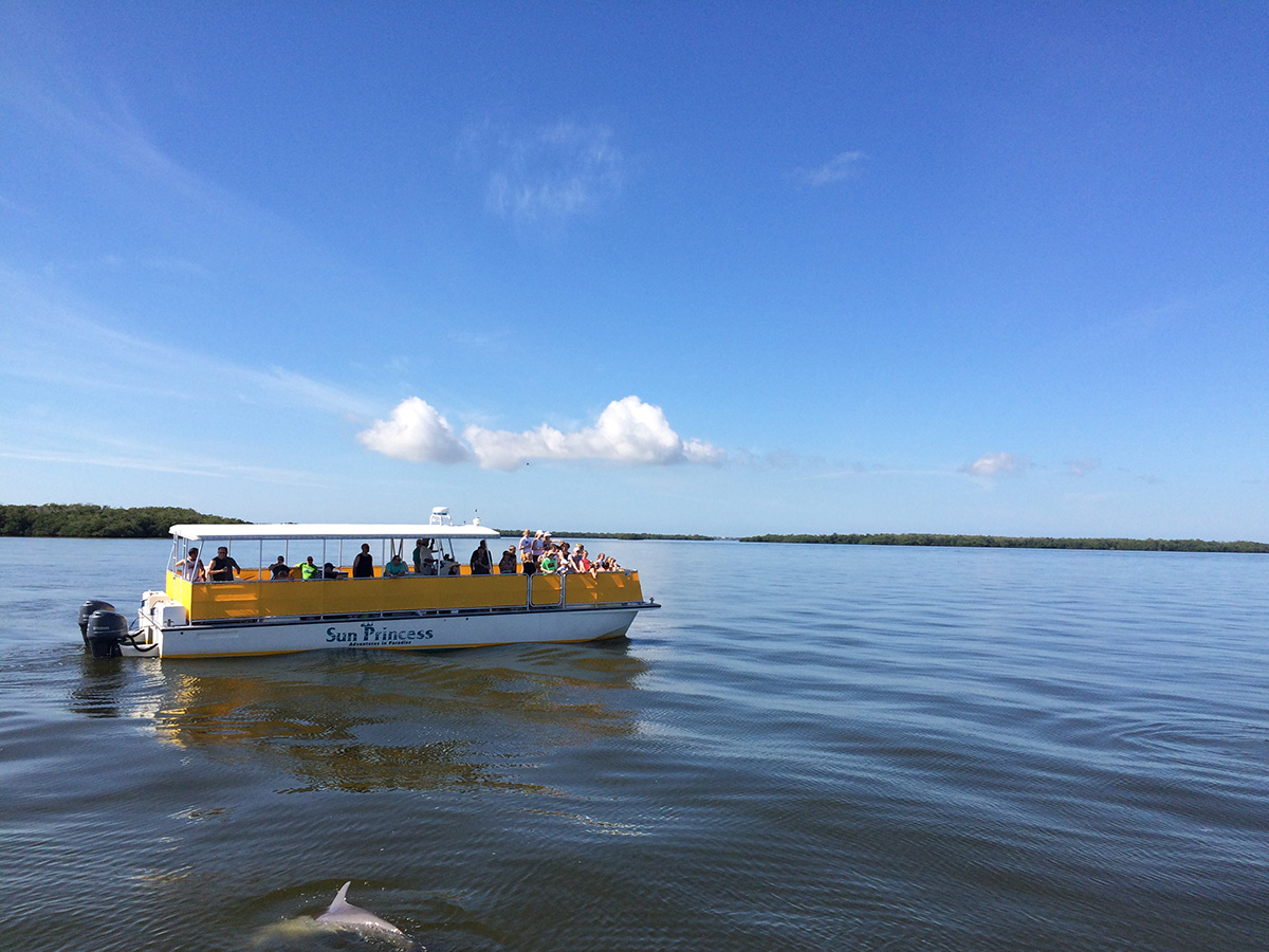 dolphin cruises fort myers beach