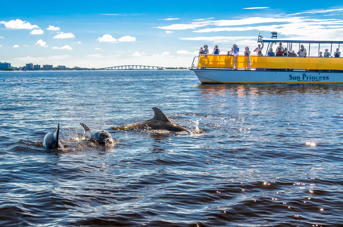 dolphin cruises fort myers beach