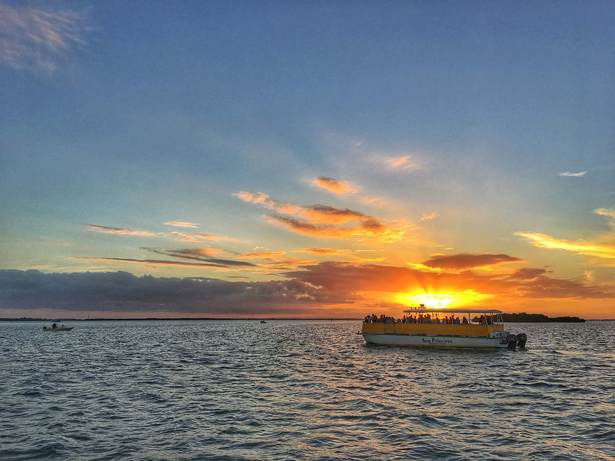 Bonita-beach-sunset-dolphin-cruise-2