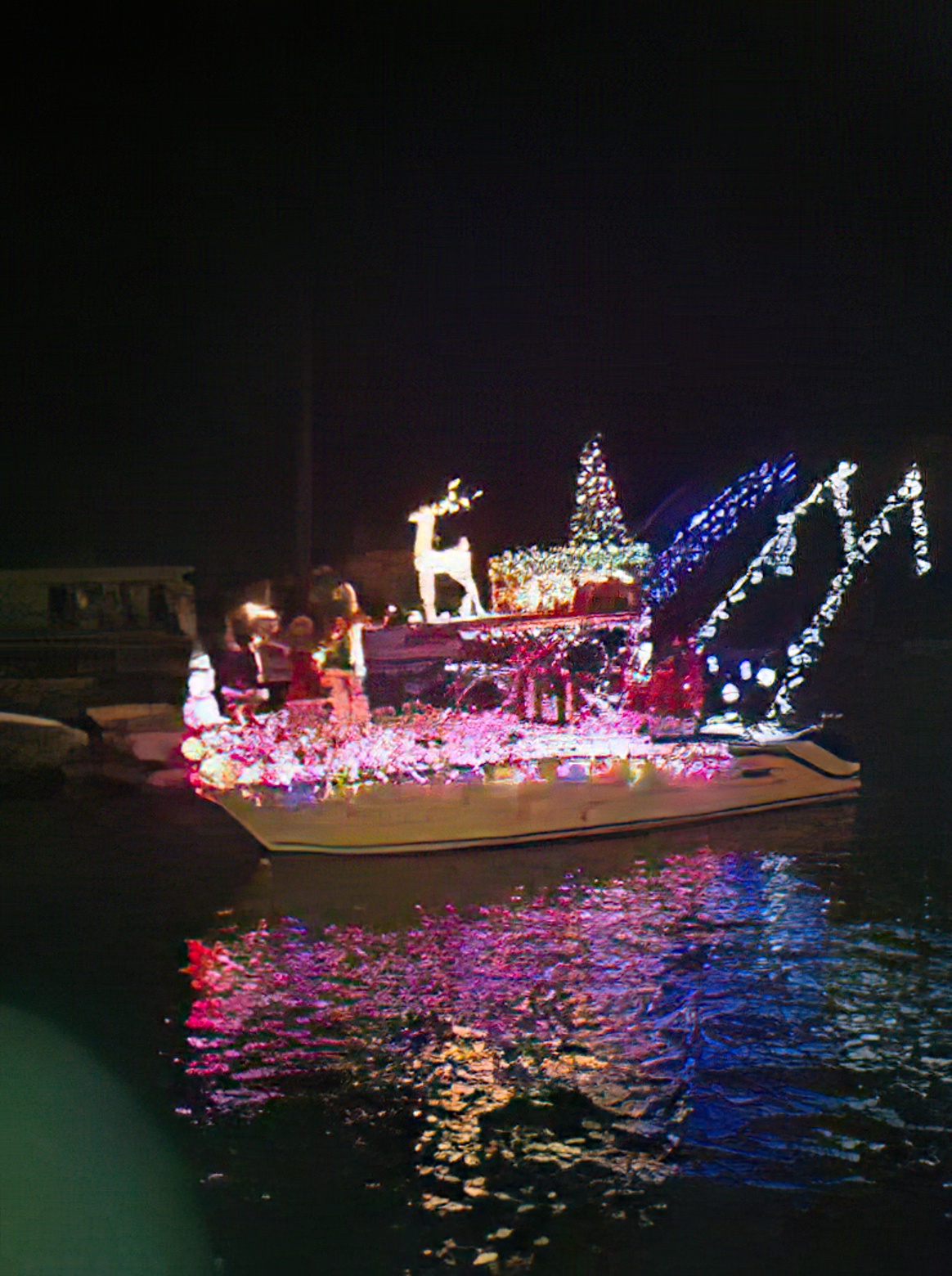 Fort Myers Christmas Boat Parade 2025 Lilly Phaidra